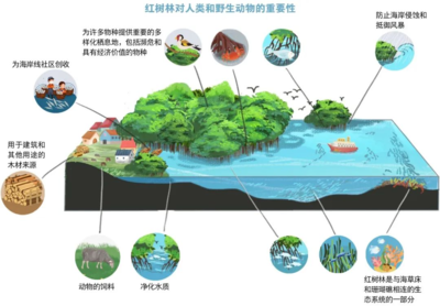 世界海洋日 | 保護海洋生態系統，人與自然和諧共生